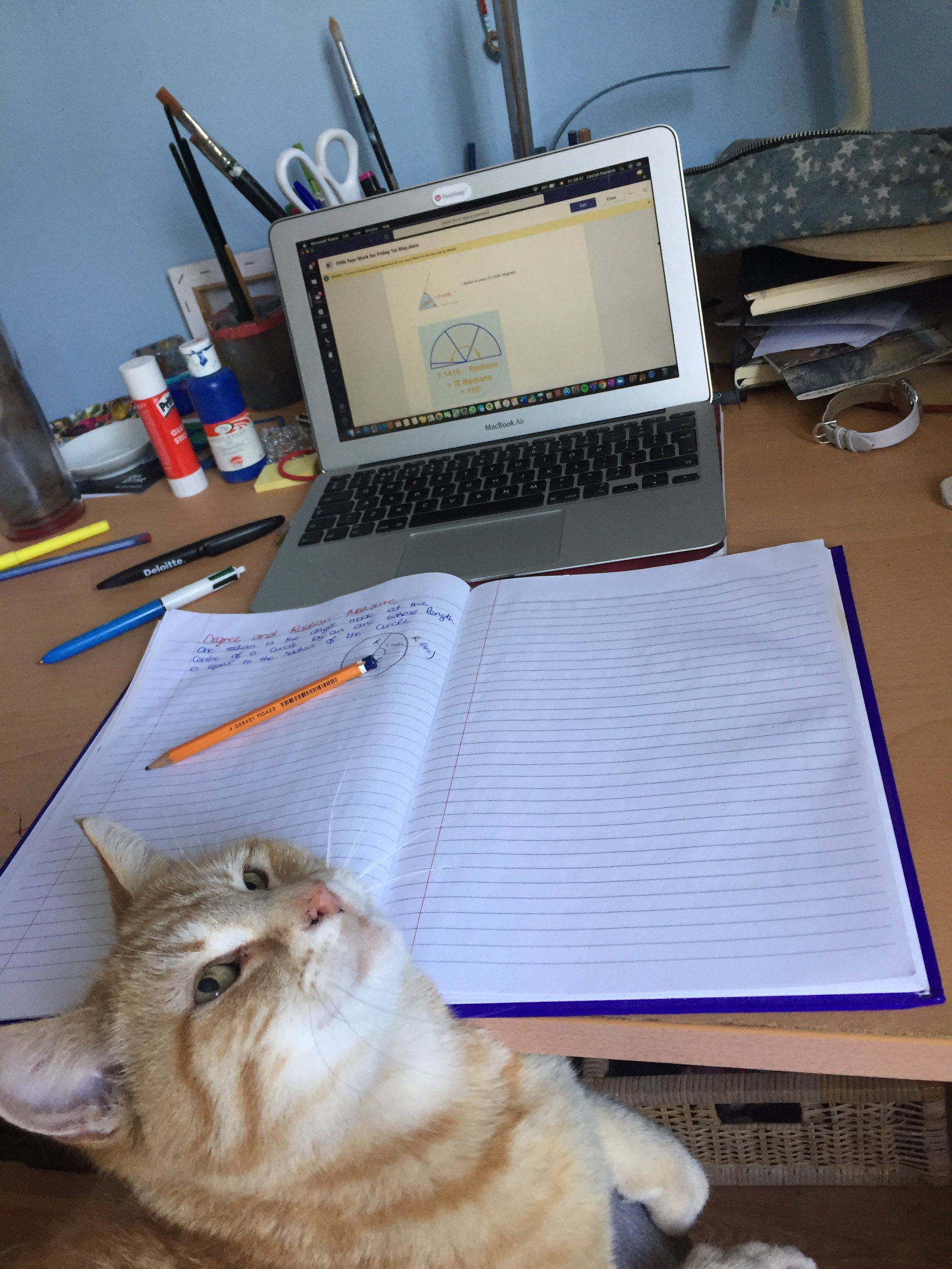 Lauryn, pet sitter in Ede, photo 2