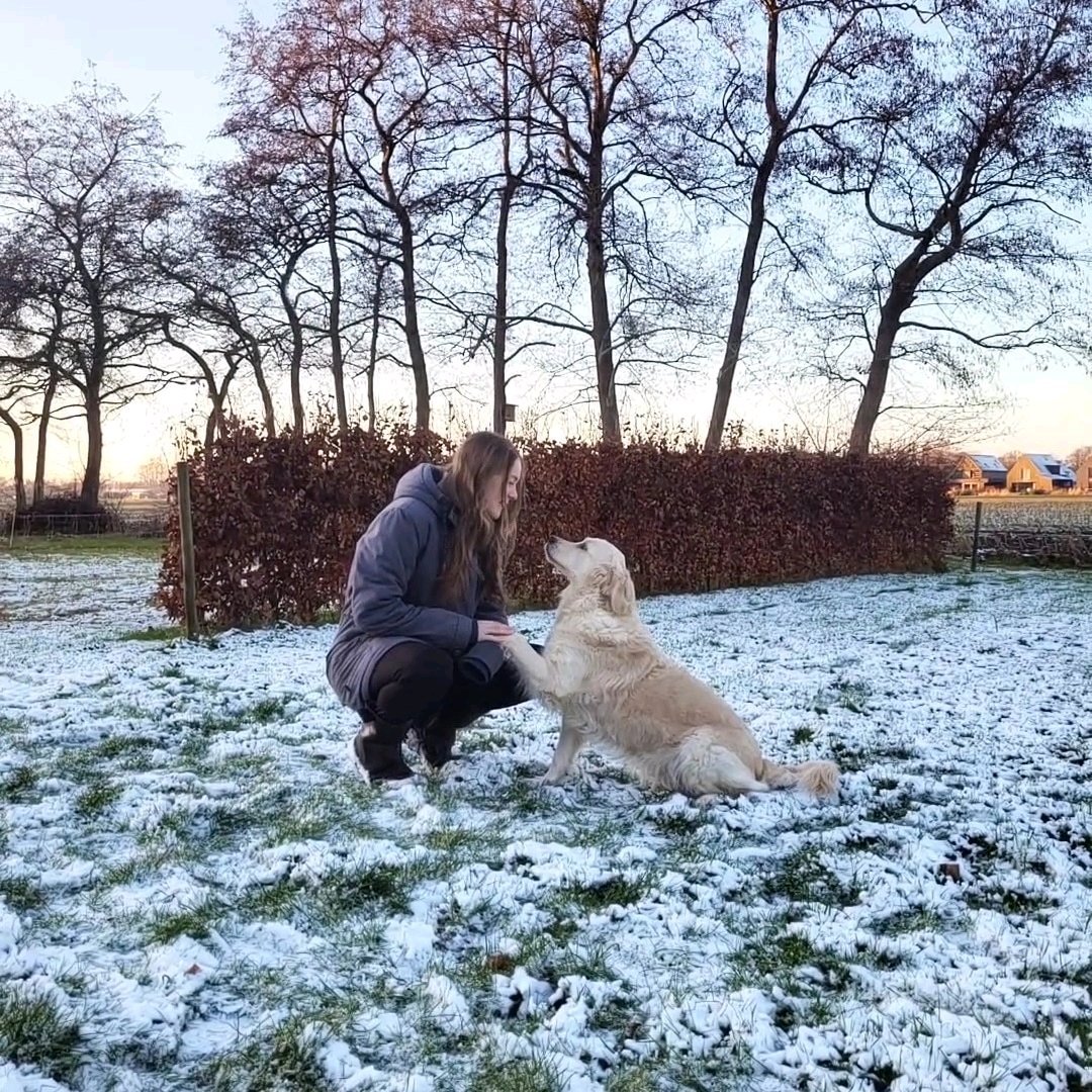 Willeke, pet sitter in Groningen, photo 3