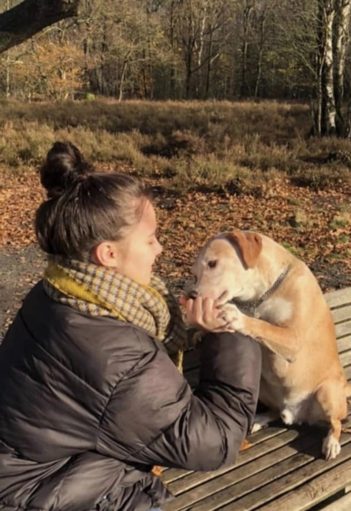 Mariia, pet sitter in Diemen, photo 1