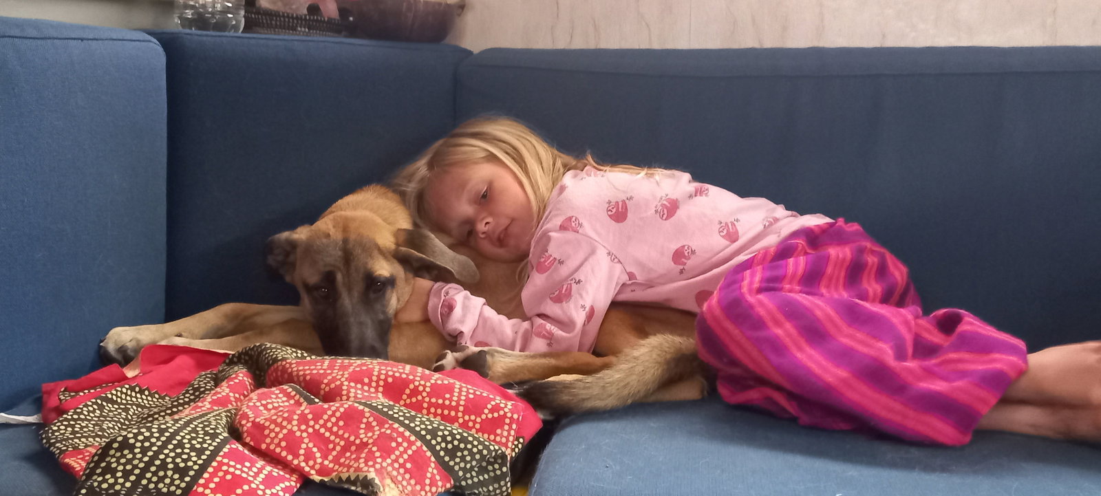 Sarai, pet sitter in Zorgvlied, photo 2