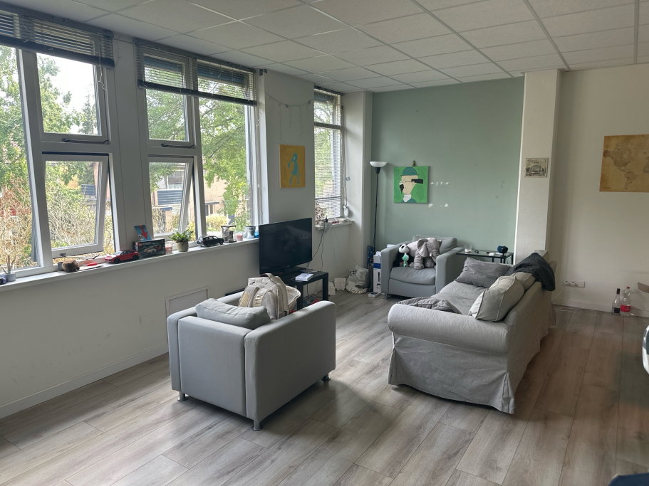 Shangyuan, pet sitter in Zaandam, photo 5