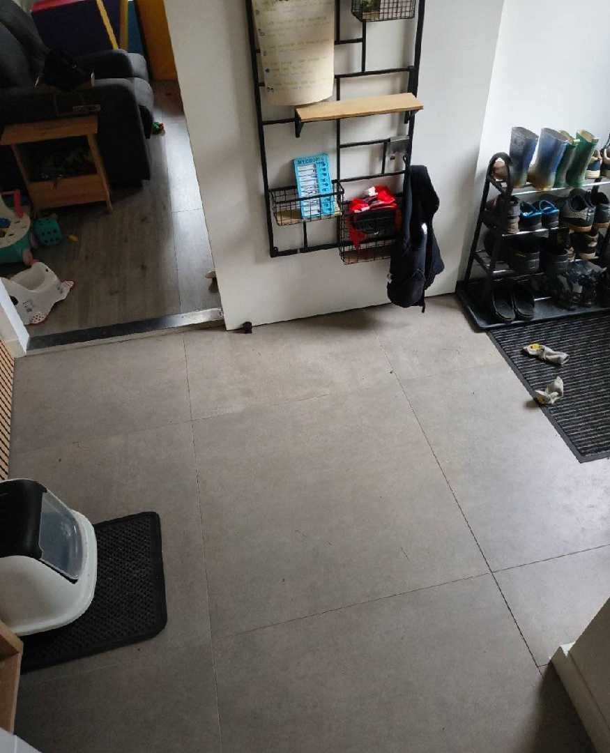 Jim, pet sitter in Tilburg, photo 4