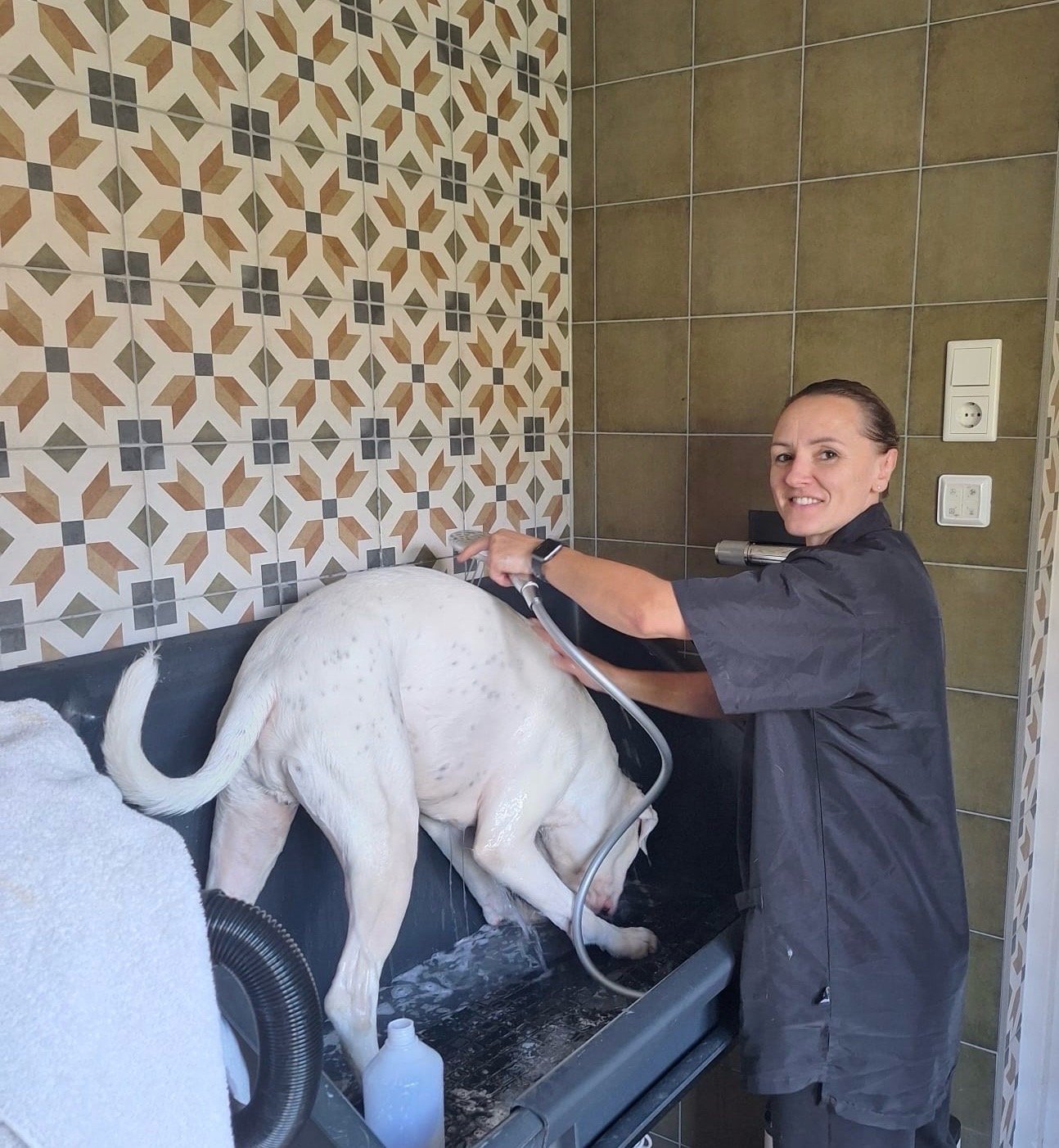 Tess, pet sitter in Uden, photo 2