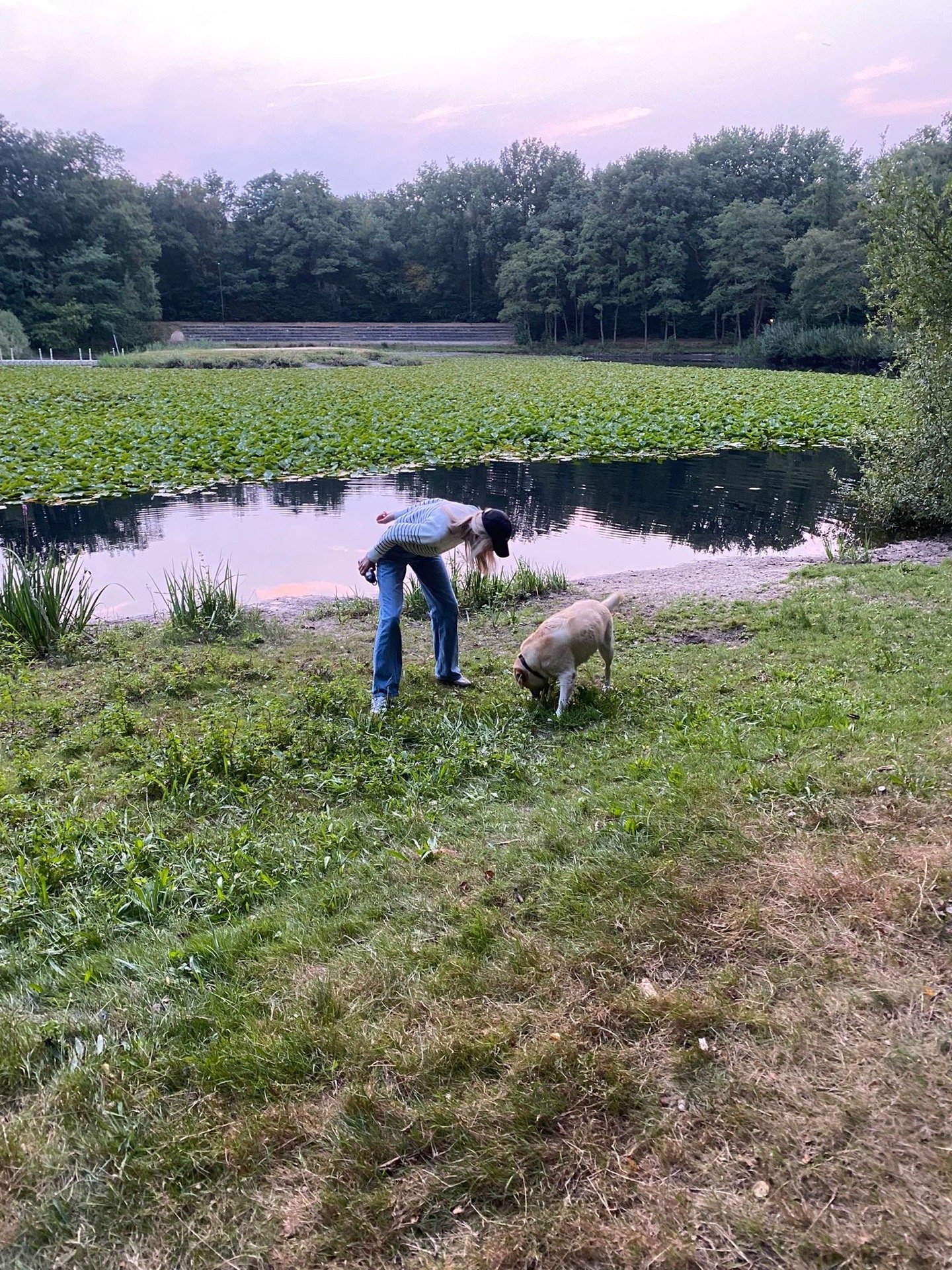 Chantalle, pet sitter in Amsterdam, photo 5