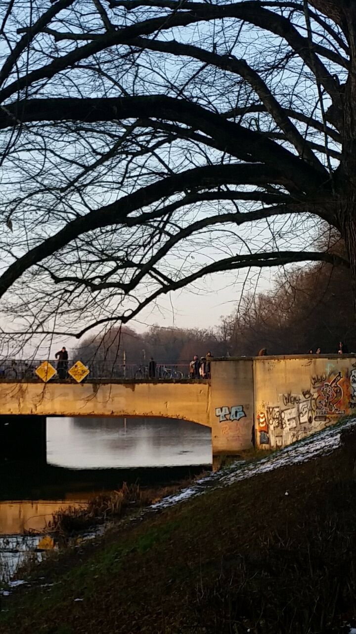 Selina, Tiersitter in Leipzig , Foto 2