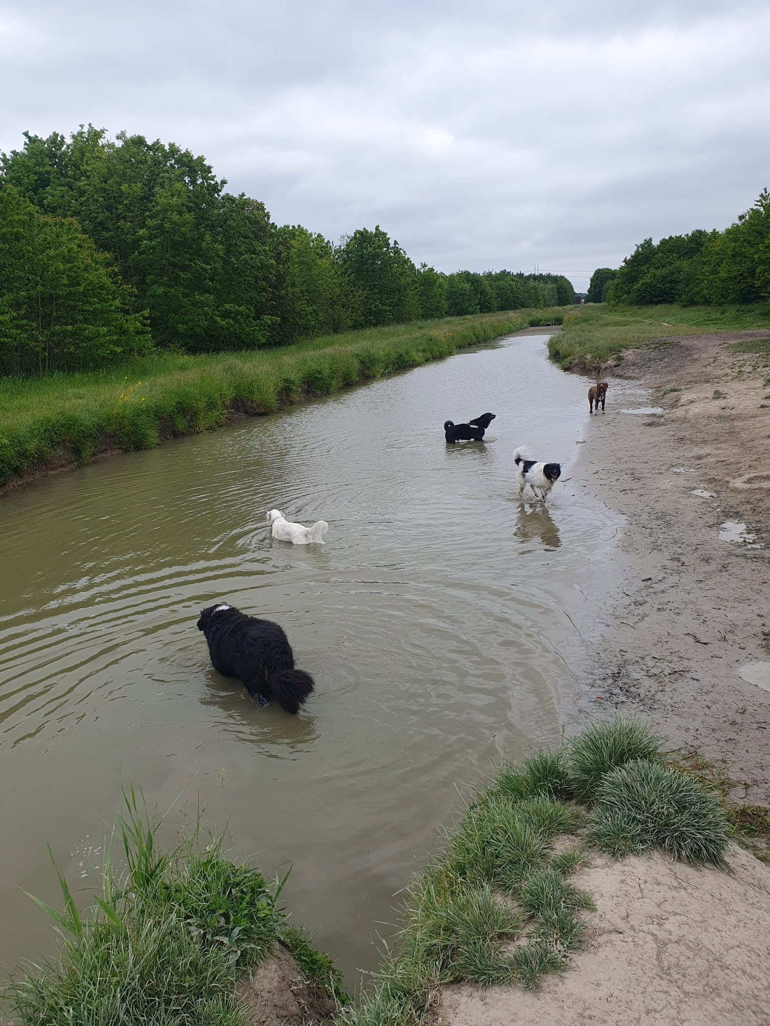 Vince, dierenoppas in Alphen aan den Rijn, foto 2