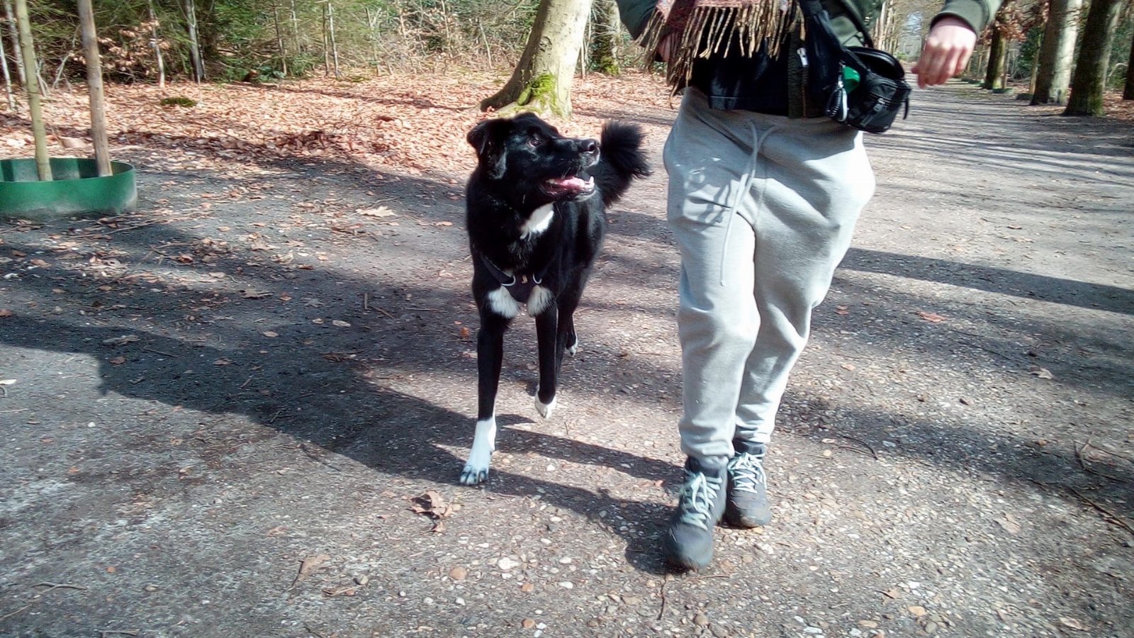 Joachim, pet sitter in Heumen, photo 2