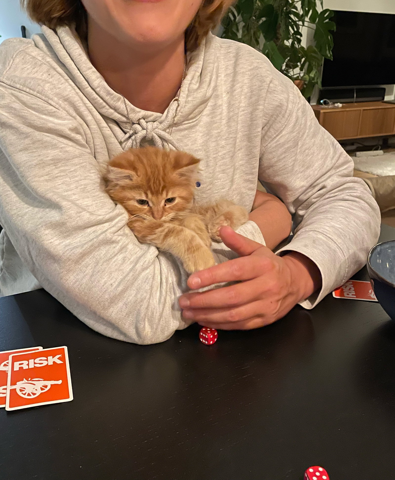 Karin, pet sitter in Amsterdam, photo 3