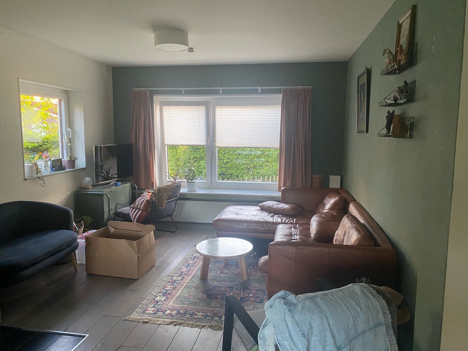 Barbara, pet sitter in Emmerich, photo 1