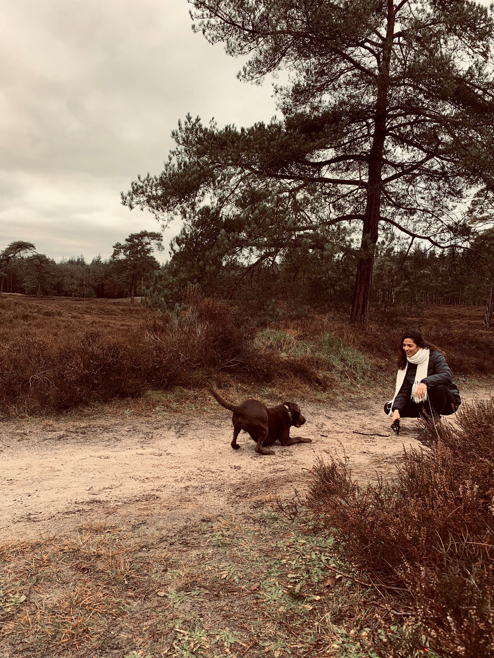 Emma, pet sitter in Amsterdam, photo 4