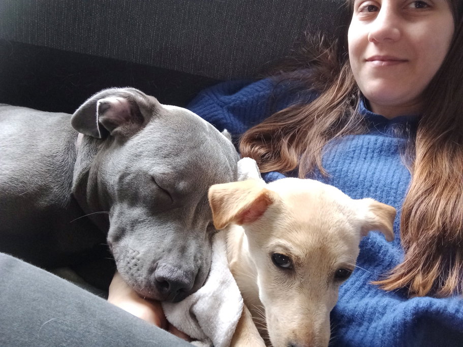 Angela, pet sitter in Zoetermeer, photo 4