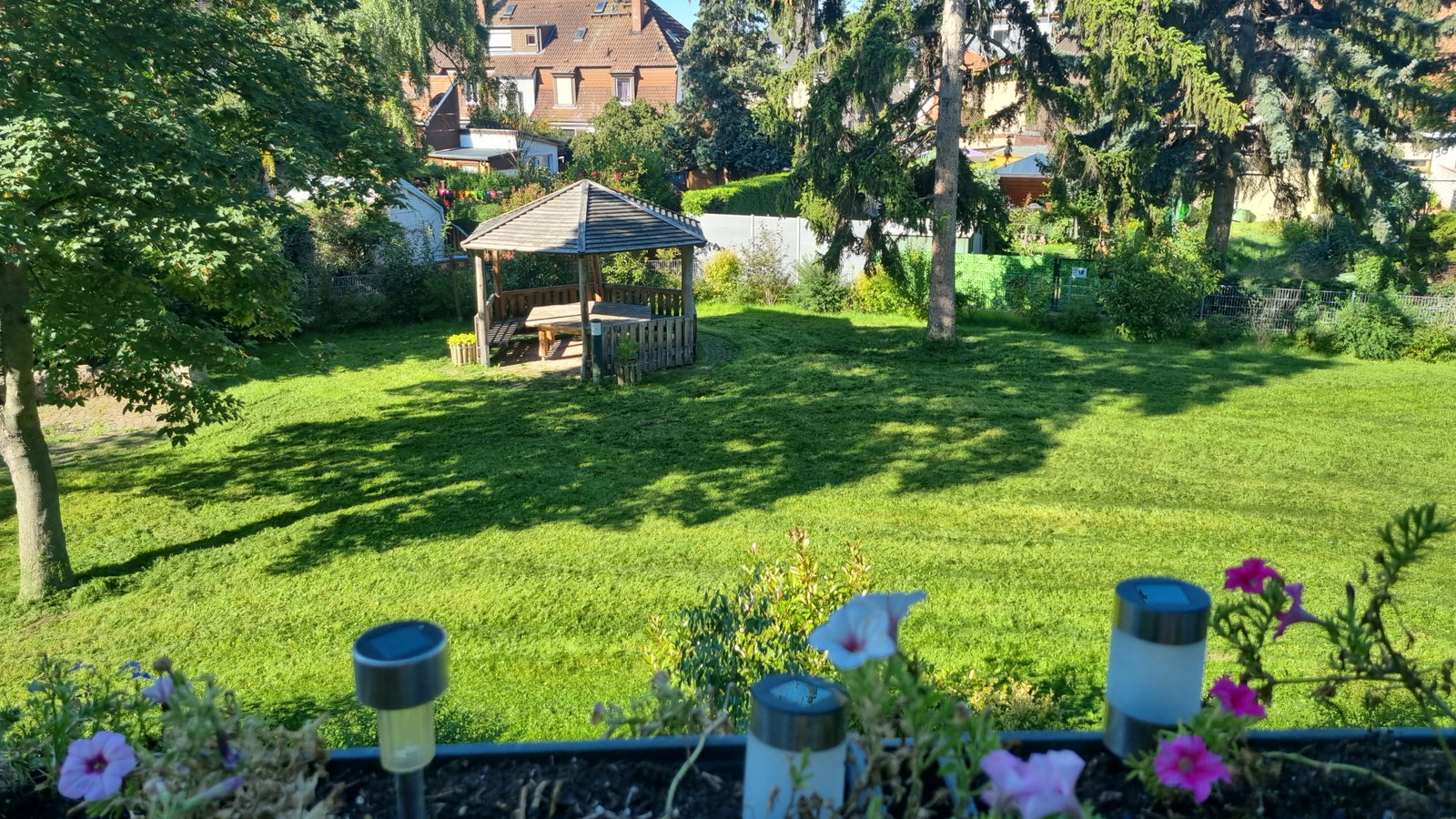 Angie, Tiersitter in Mainz-Kostheim, Foto 1