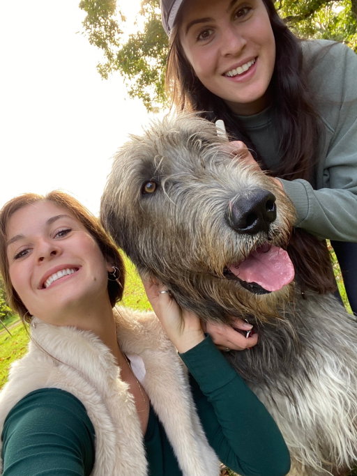 Laura, pet sitter in Amsterdam, photo 4