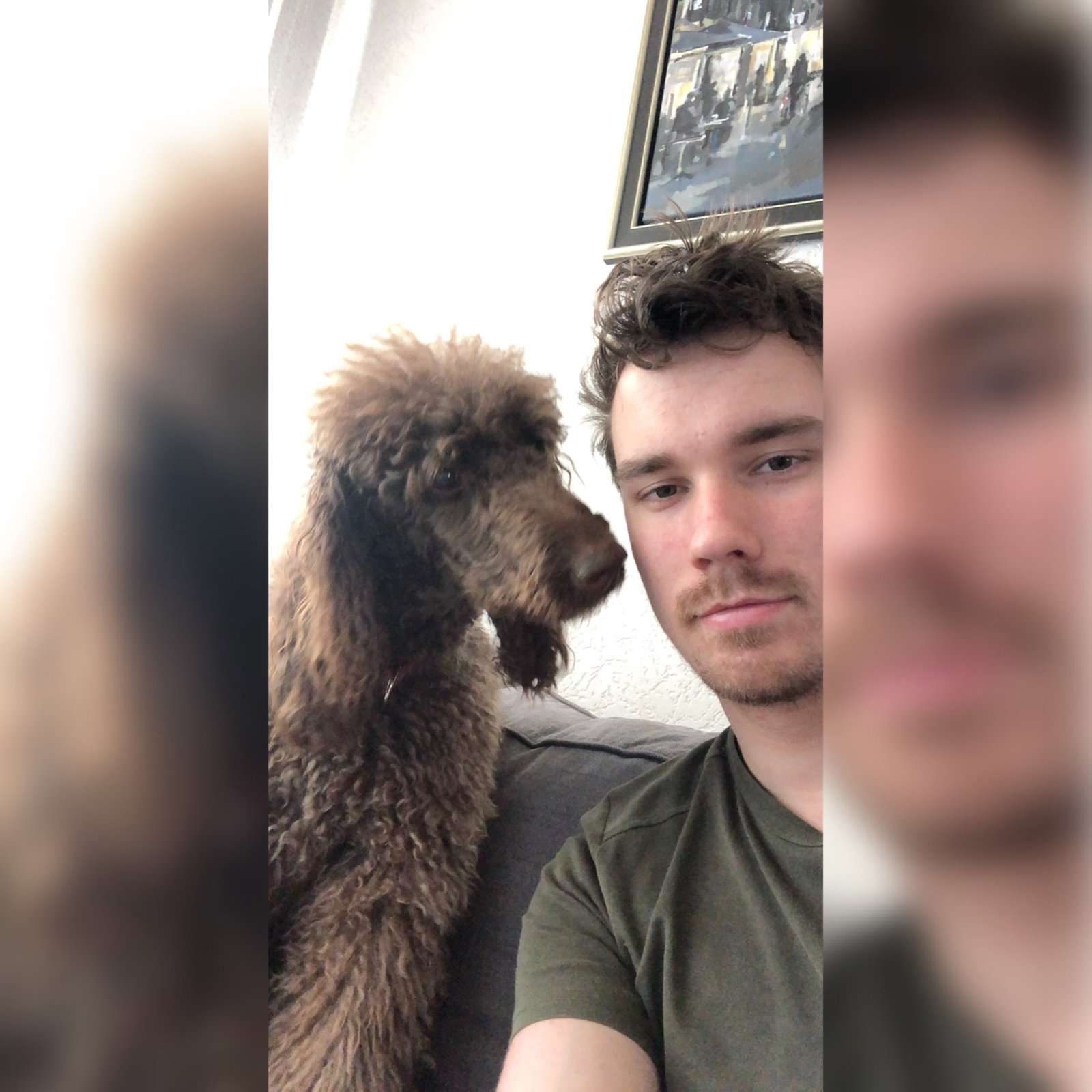 Martijn, pet sitter in Breda, photo 1