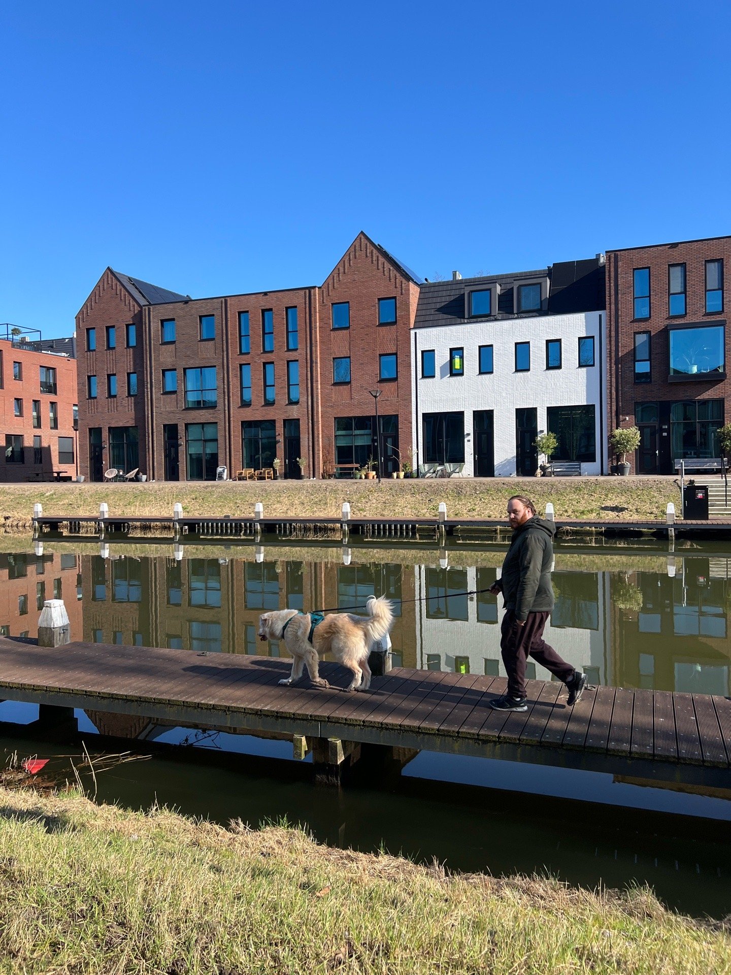 Merlijn, dierenoppas in Vianen, foto 4