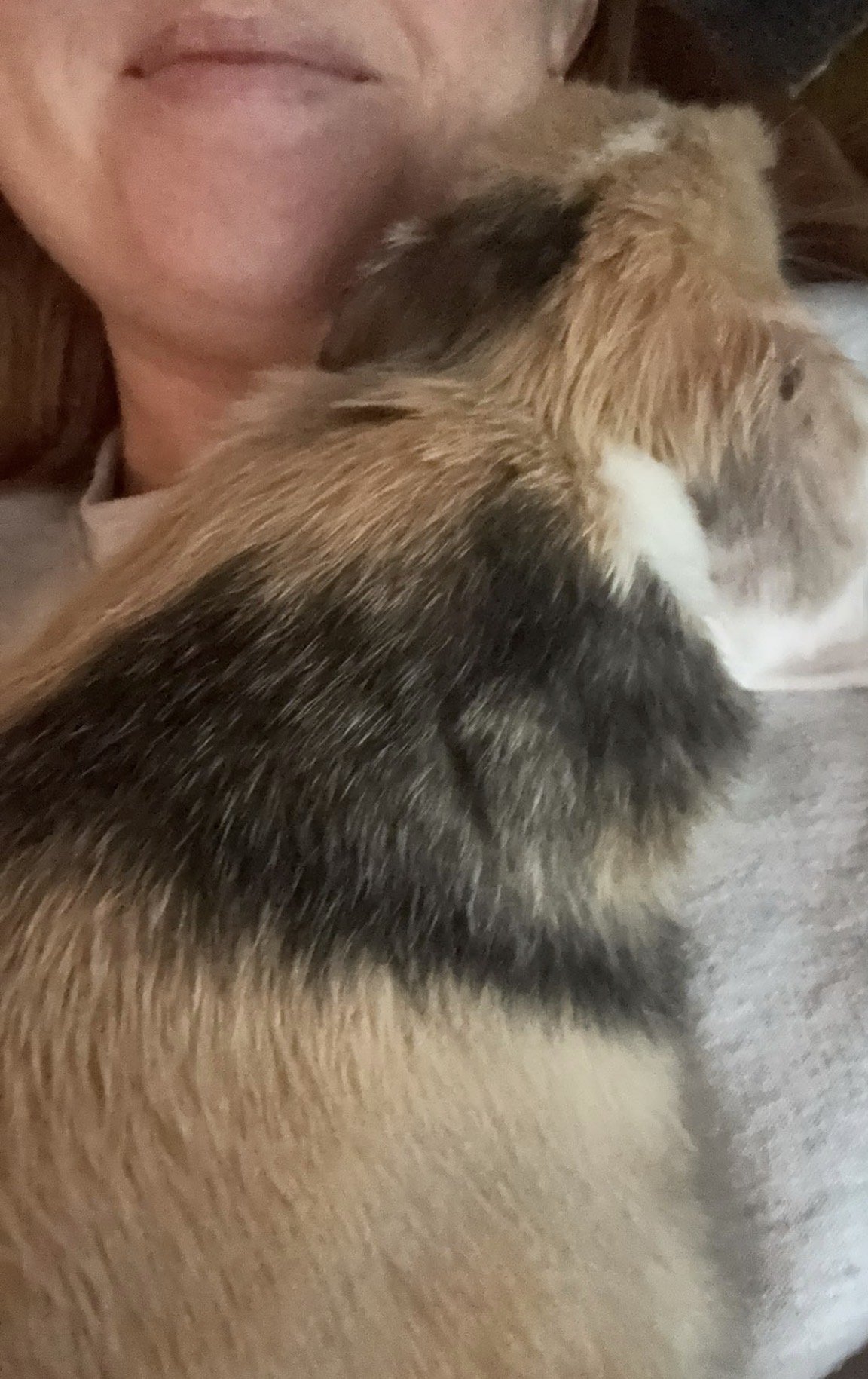Fleur, pet sitter in Beuningen, photo 5