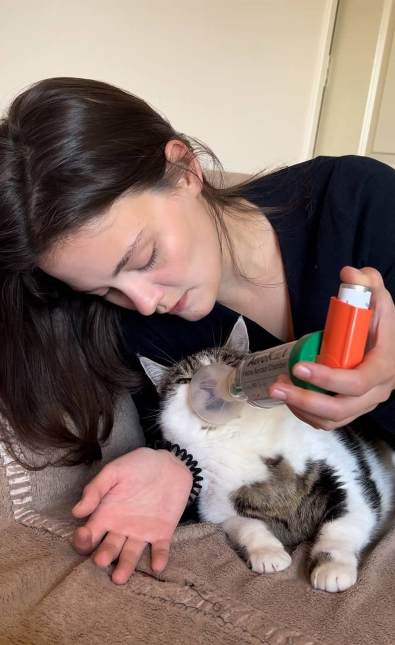 Maryna, pet sitter in Amsterdam, photo 1