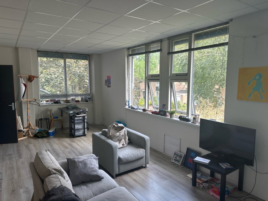 Shangyuan, pet sitter in Zaandam, photo 4