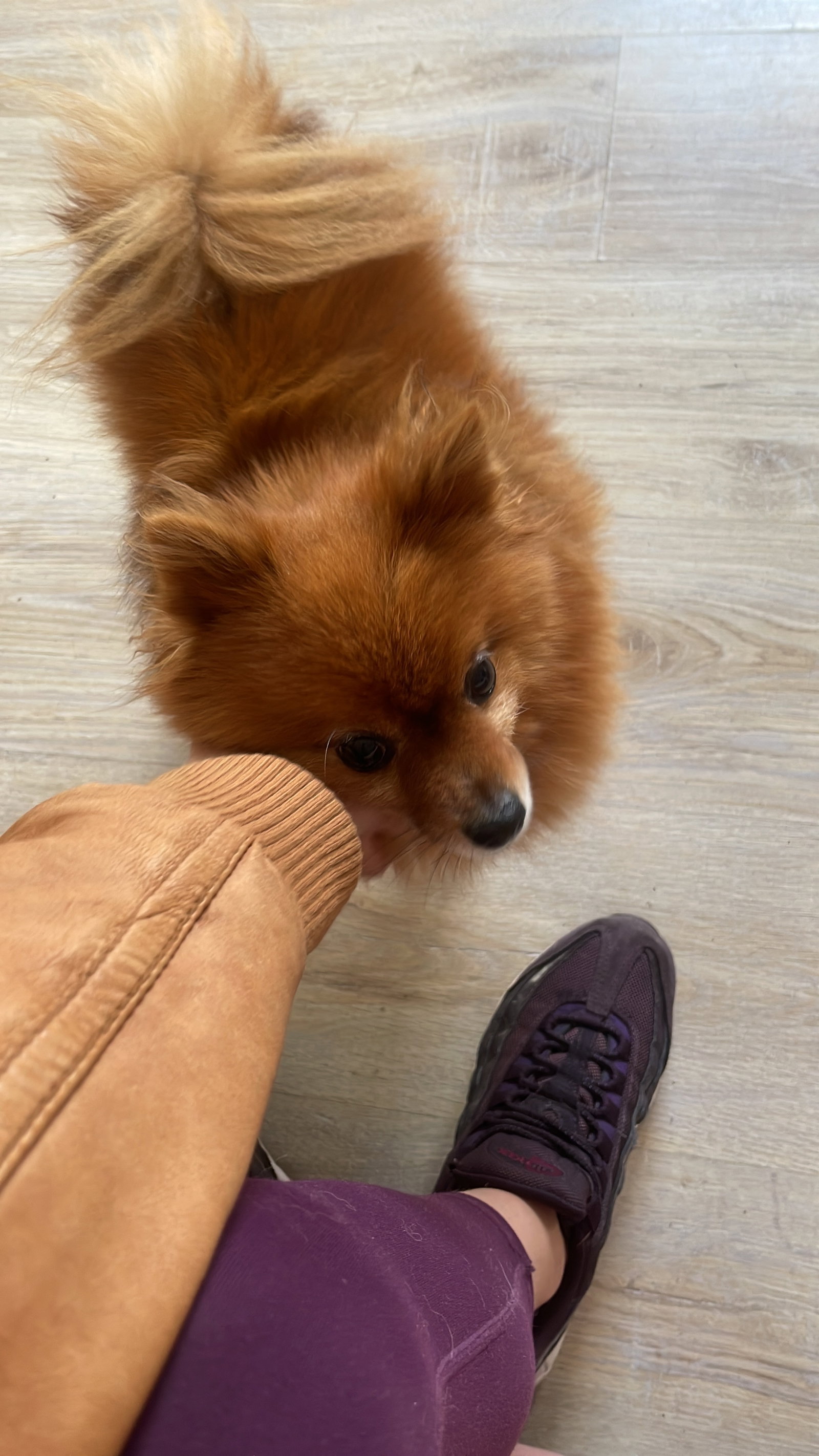 Lucy, Tiersitter in Kassel, Foto 5