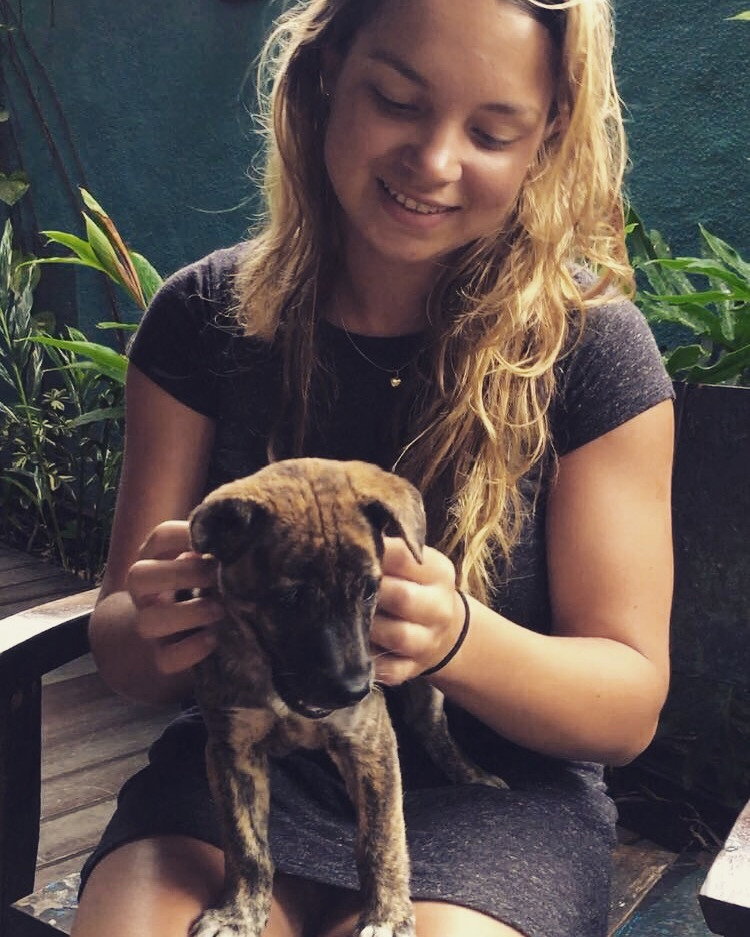 Pauline, pet sitter in Haarlem, photo 1