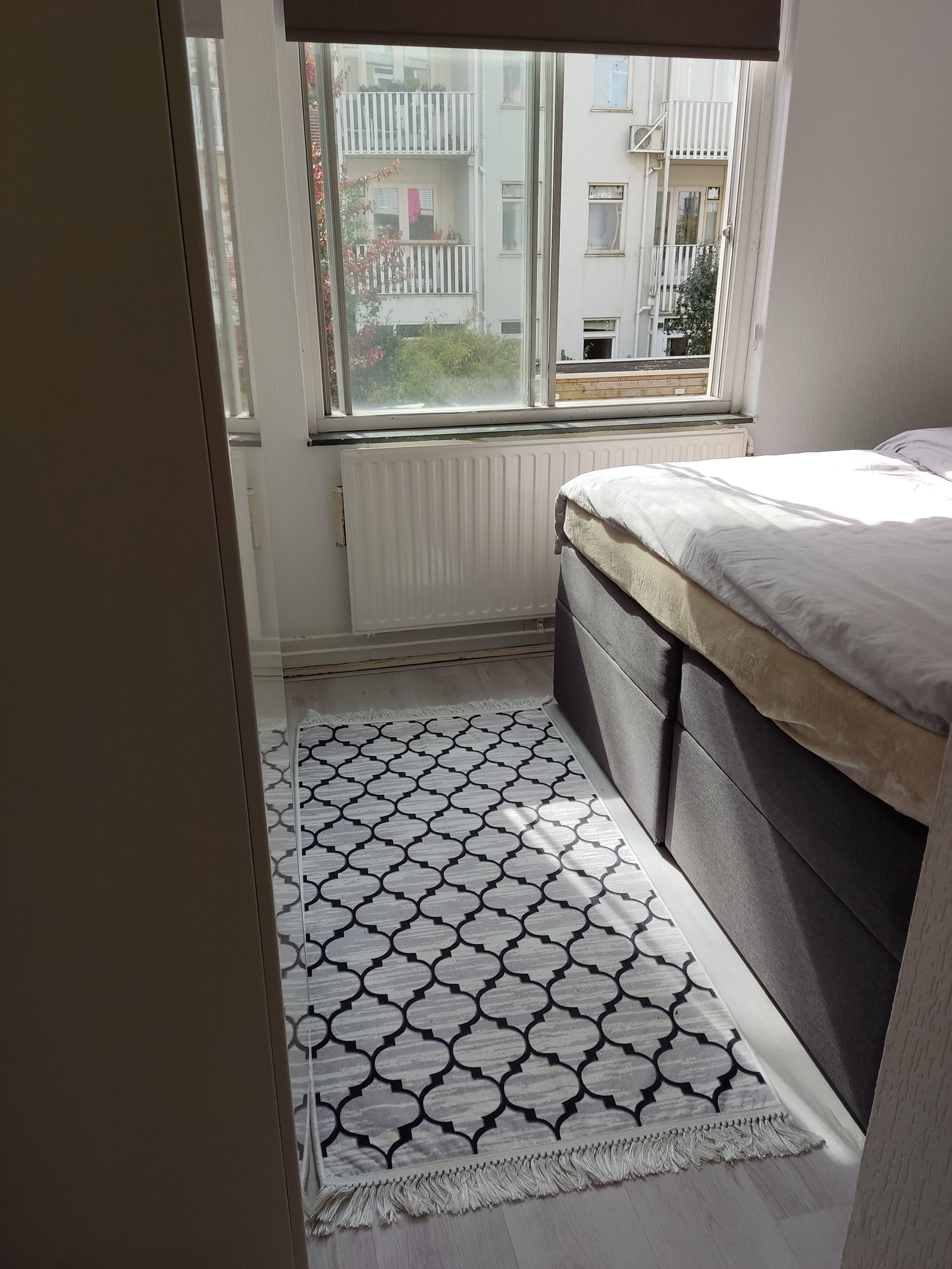 Rasha, dierenoppas in Amsterdam, foto 3