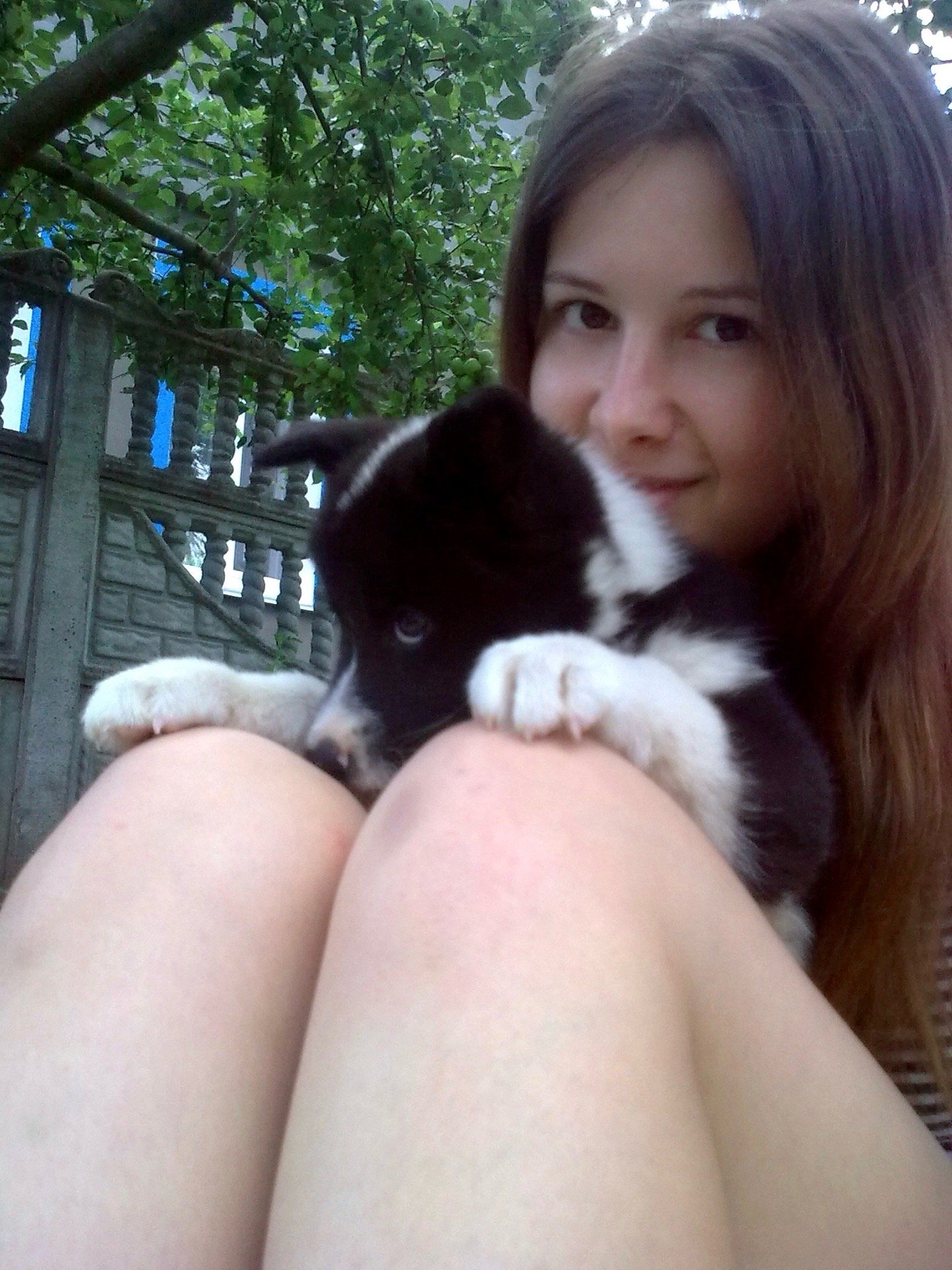 Tetiana, pet sitter in Stuttgart, photo 2