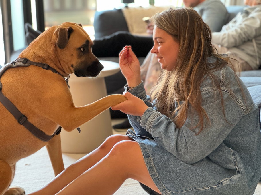 Pauline, pet sitter in Haarlem, photo 3