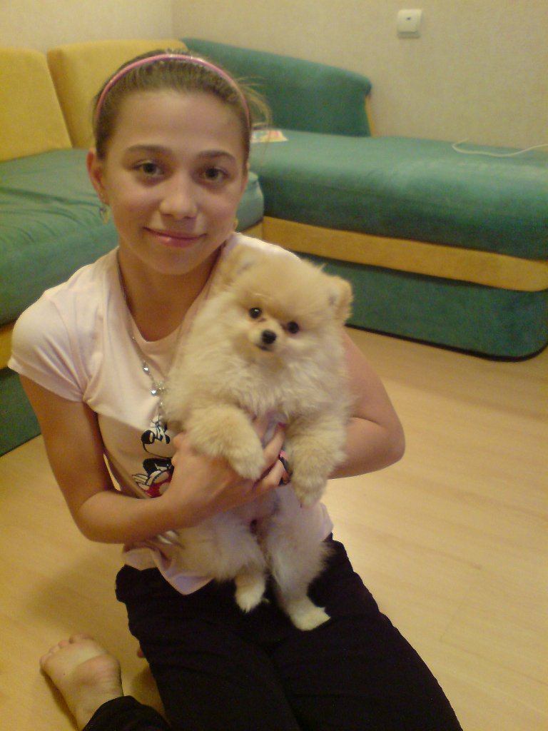 Emiliia, pet sitter in Apeldoorn, photo 5