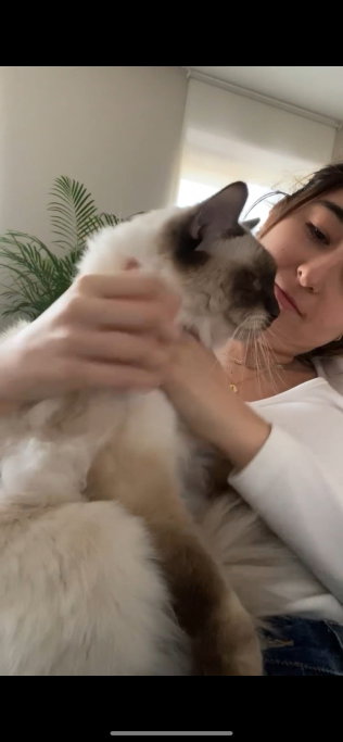 Aitana, pet sitter in Amsterdam, photo 2