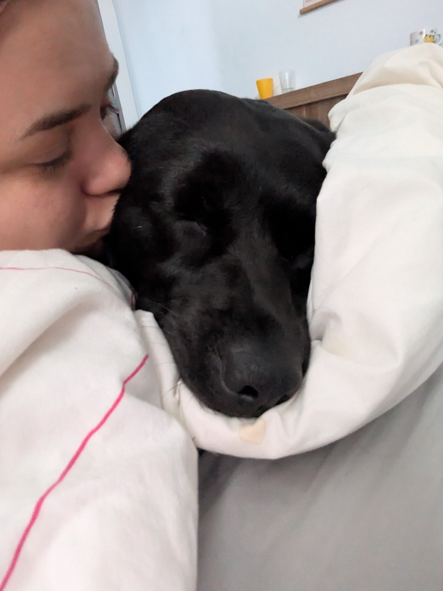 Babette, pet sitter in Diemen, photo 2