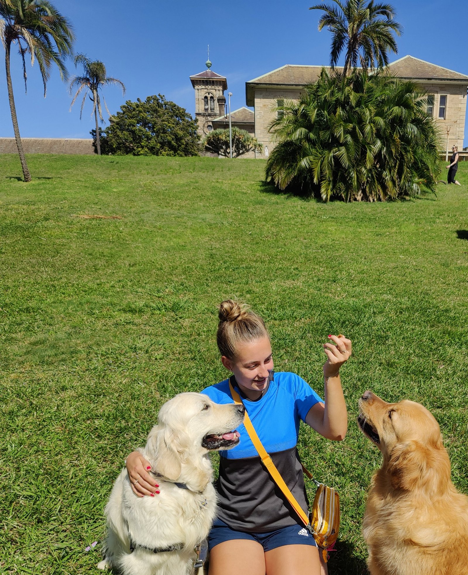 Merel, pet sitter in Eindhoven, photo 4