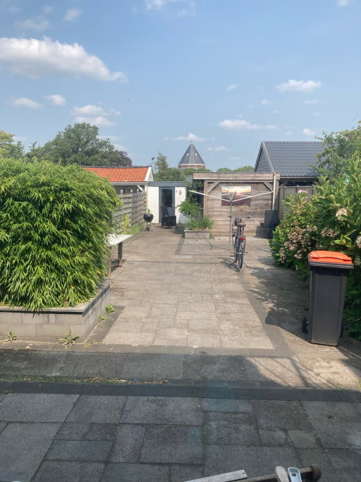 Jelle, pet sitter in Lisse, photo 2