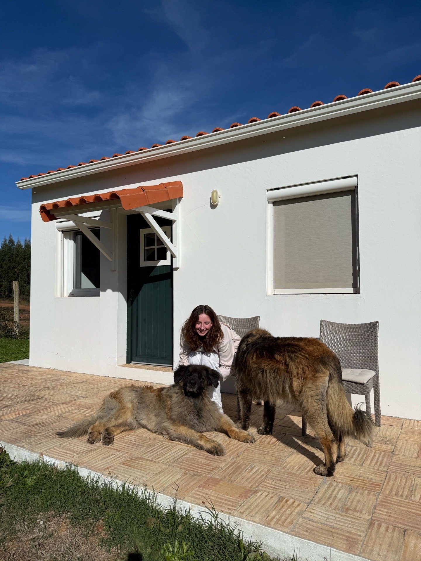 Sofie, pet sitter in Nijmegen, photo 3