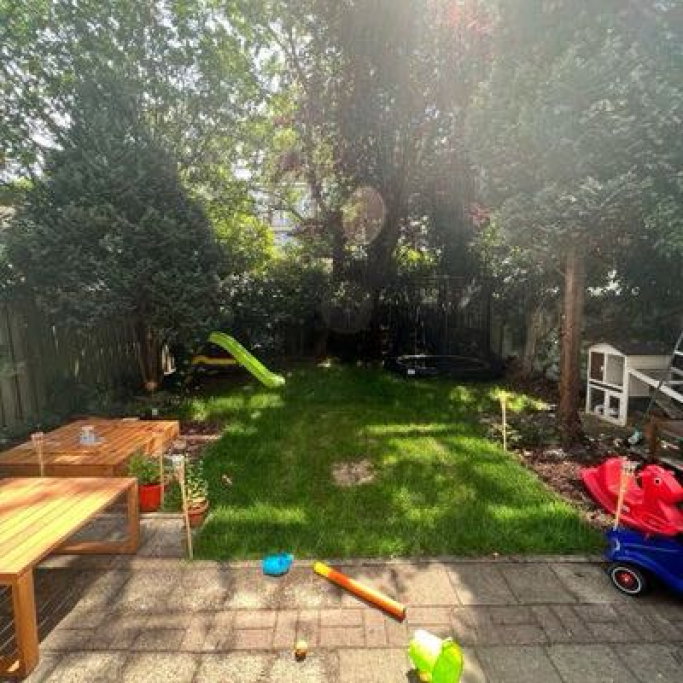 Martijn, pet sitter in 's-Gravenhage, photo 2