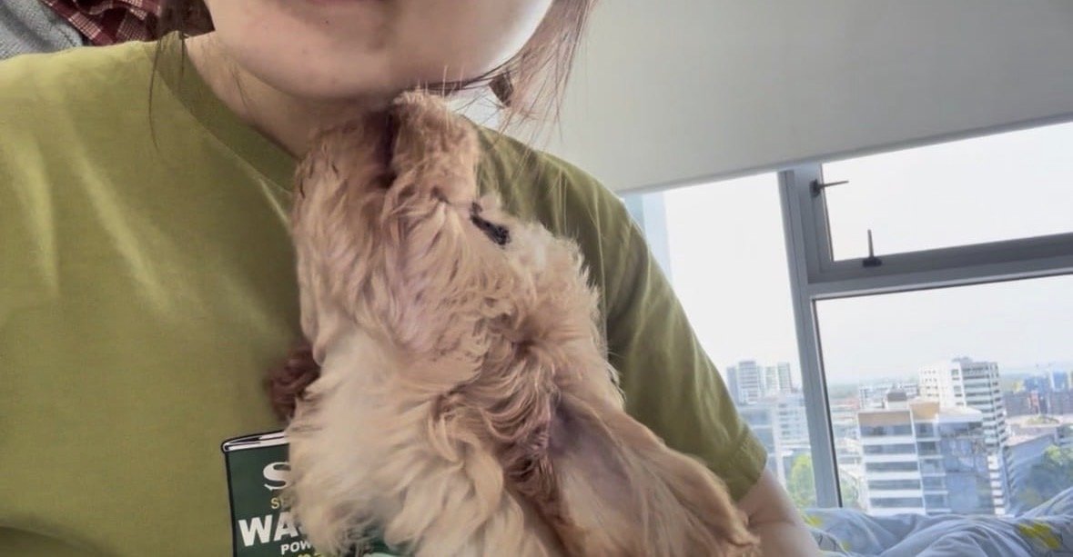 ruby, pet sitter in Amsterdam, photo 2