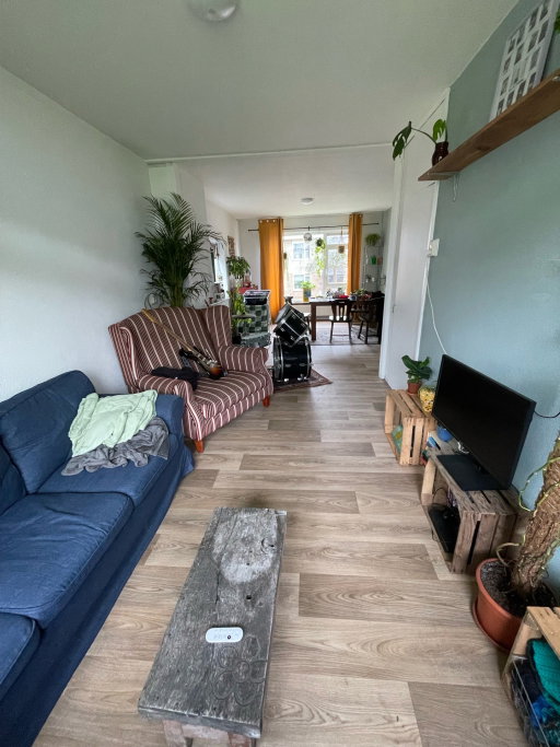 suus, pet sitter in Beverwijk, photo 5