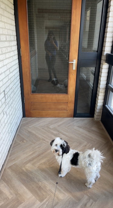 Rajul, pet sitter in Utrecht, photo 2