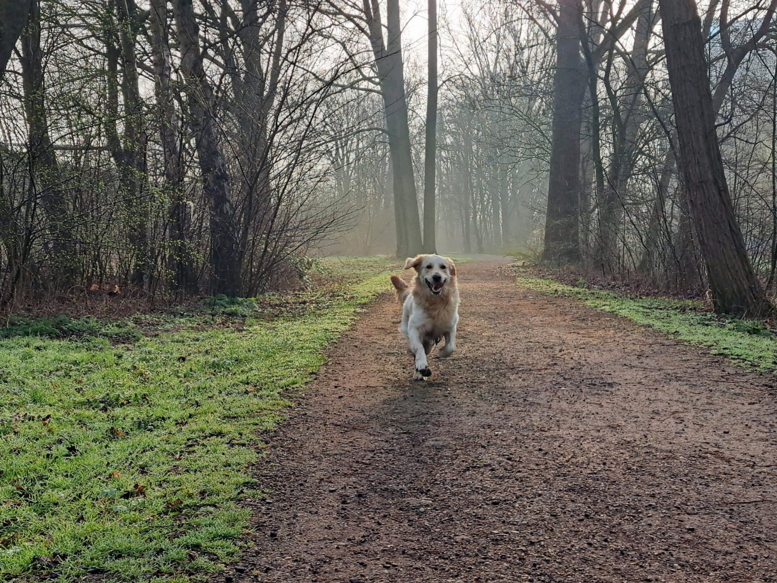 Jennifer, pet sitter in Diemen, photo 3