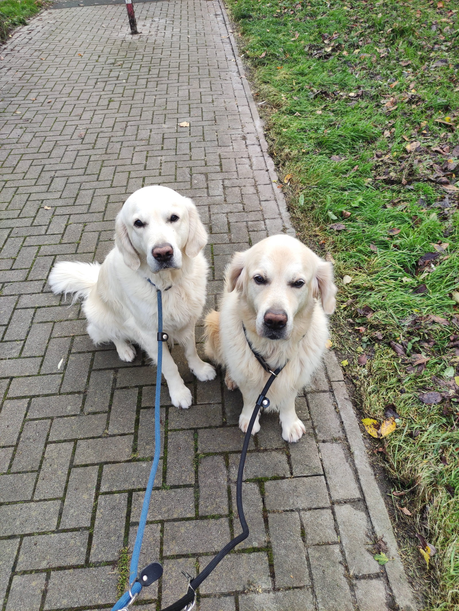 Anna, pet sitter in Münster, photo 1