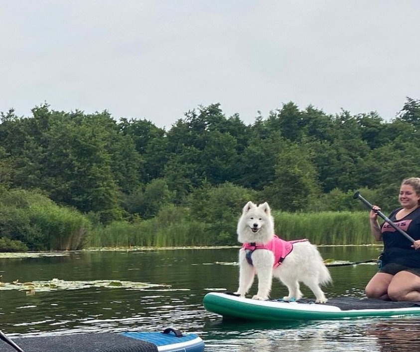 Lisa, pet sitter in Hellevoetsluis, photo 2