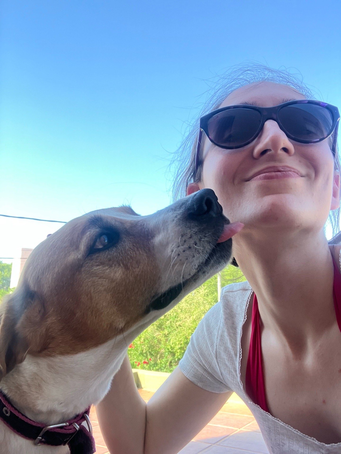 Aldana, pet sitter in Amsterdam, photo 4