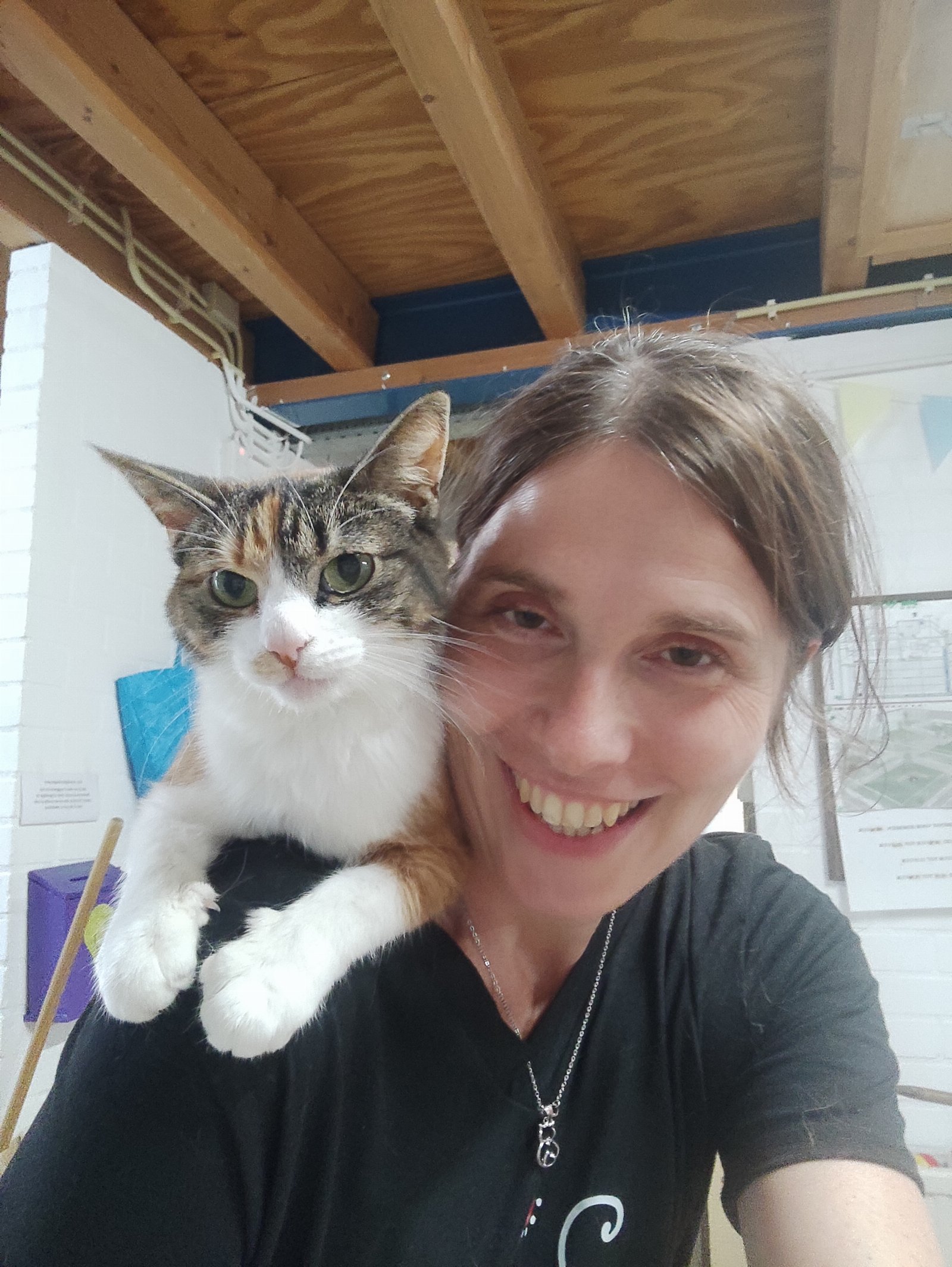 Diana, pet sitter in Berkel en Rodenrijs, photo 3