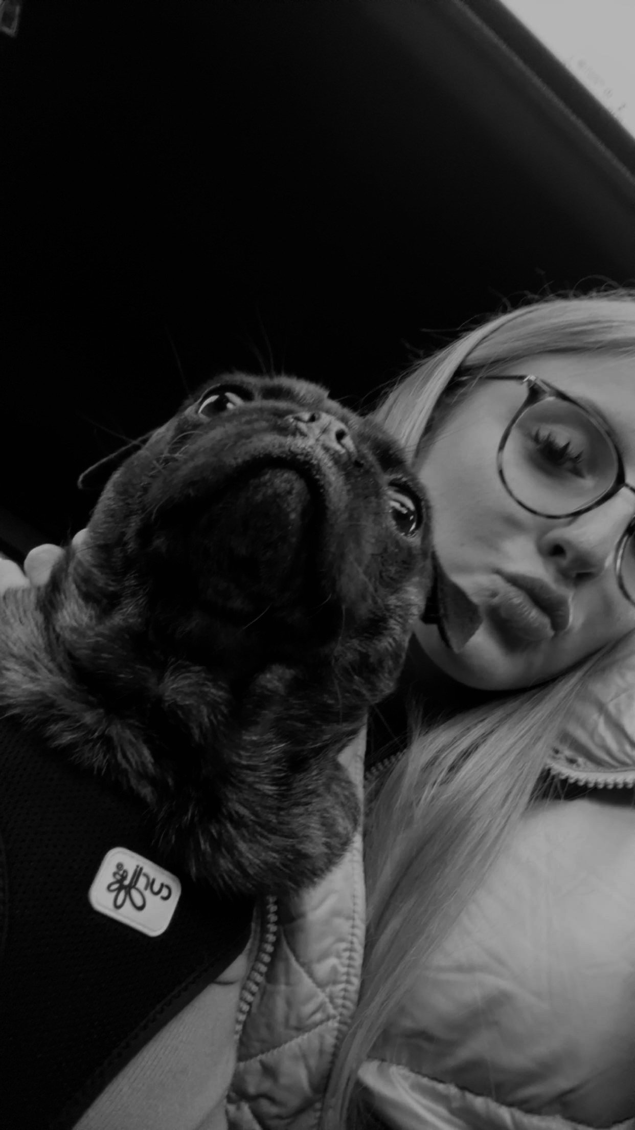 Amelie, pet sitter in Düsseldorf , photo 2