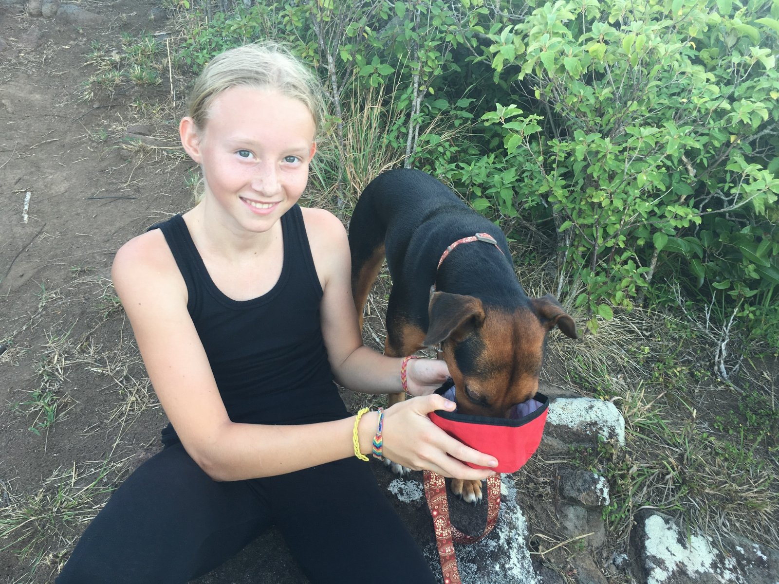 anna, pet sitter in Amsterdam, photo 1