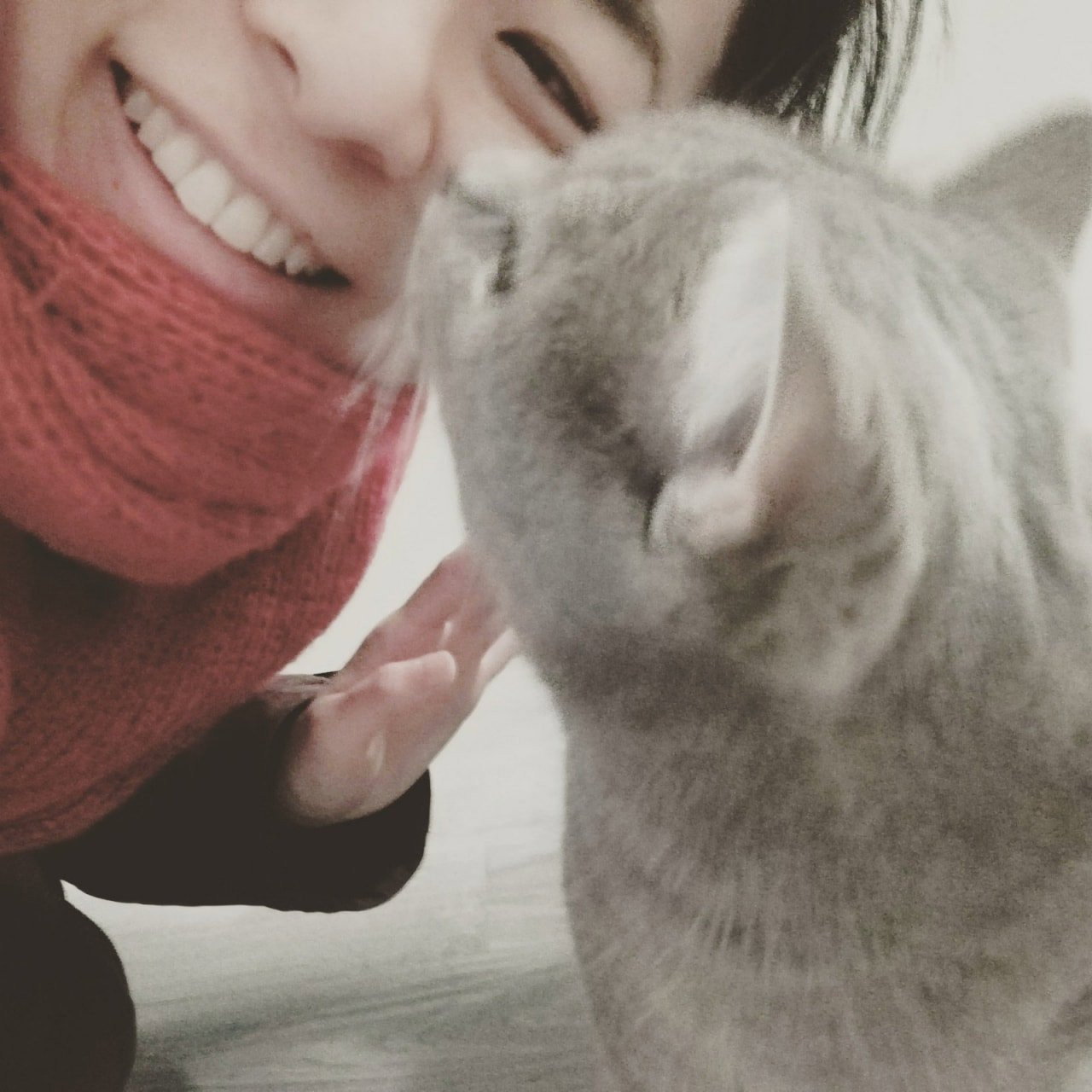 Mariposa, pet sitter in Amsterdam, photo 5