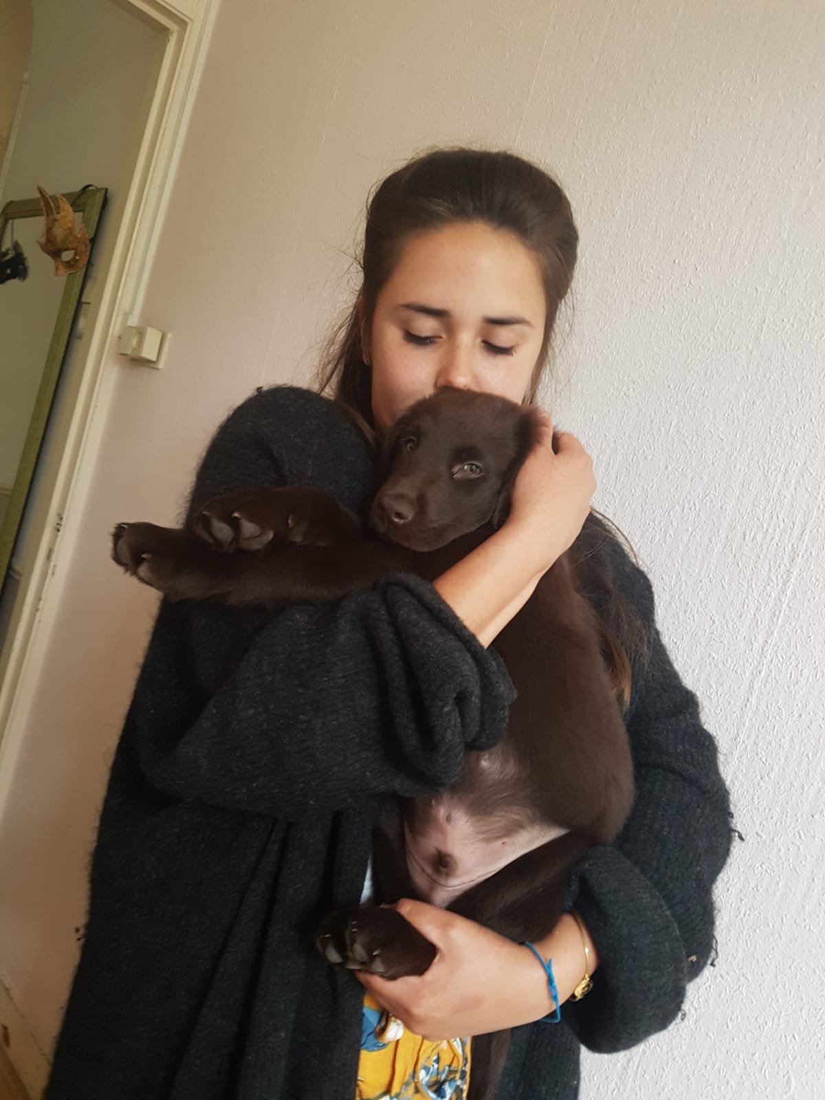 Davide, pet sitter in Amsterdam, photo 3