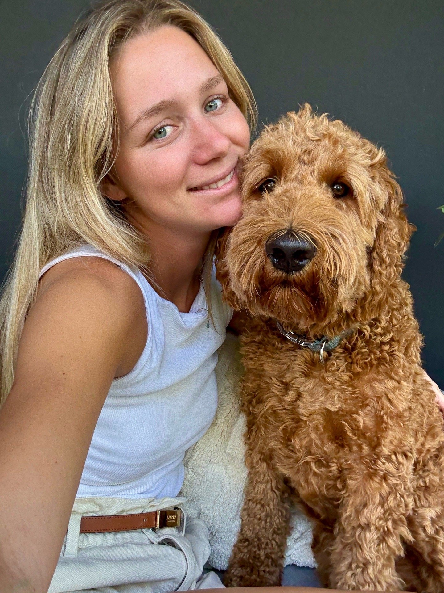 Nielse, pet sitter in Lent, photo 2