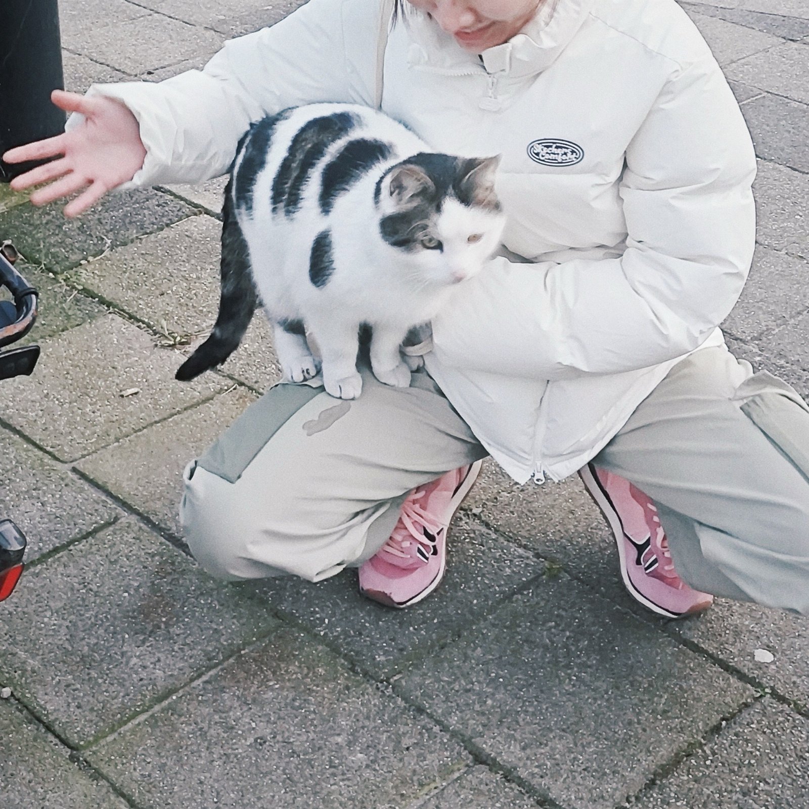 Xinyi, pet sitter in Leiden, photo 4