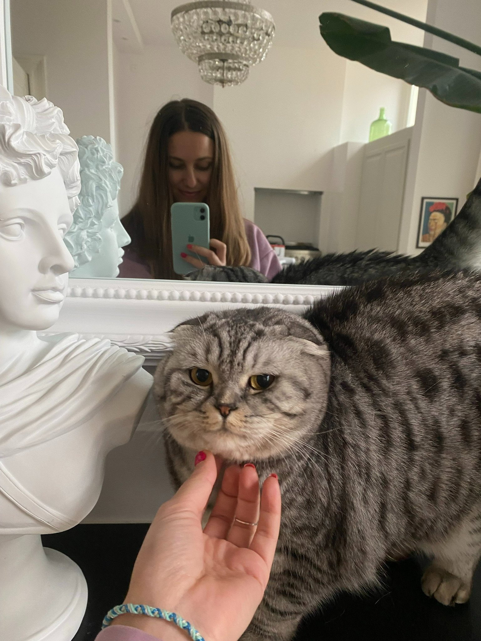 Mirela, pet sitter in Amsterdam, photo 2