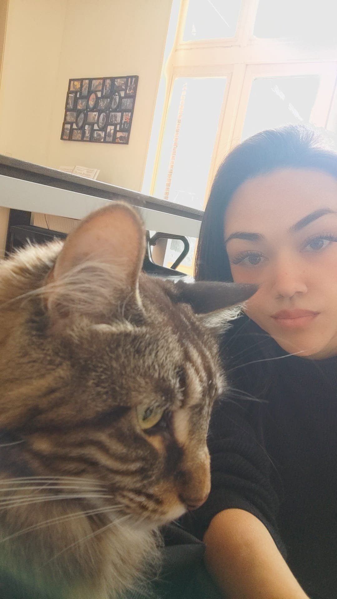 Mila, pet sitter in Leeuwarden, photo 1